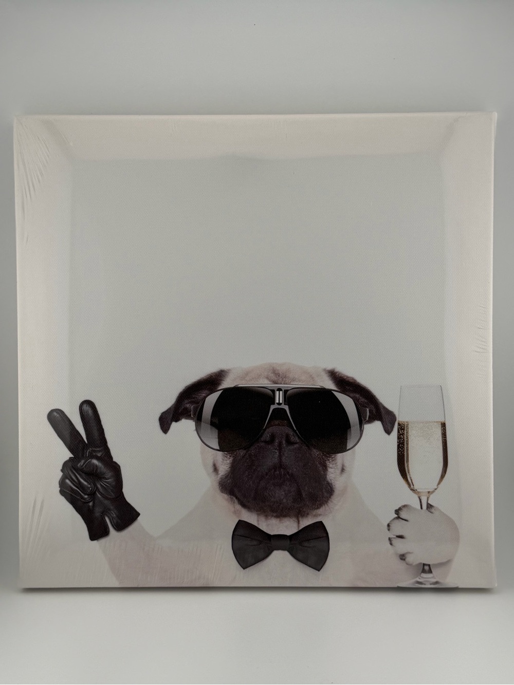 Black White Pug Party Canvas Art